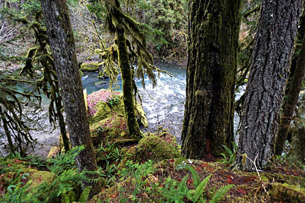 santiam wagon road 2 graphic